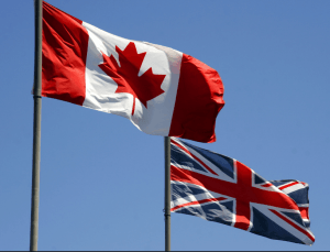 expat financial wealth management