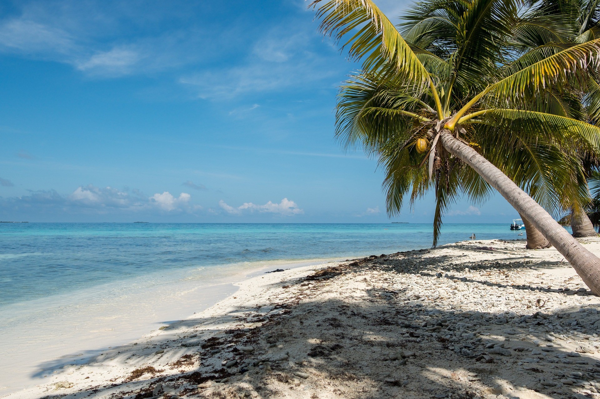 Financial Advice for Expats in Belize